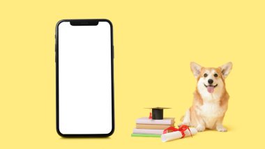 Corgi Dog havan topu, diploma, kitaplar ve sarı arka planda büyük bir akıllı telefon.