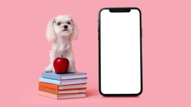 Elmalı şirin köpek, bir yığın kitap ve pembe arka planda büyük akıllı telefon.