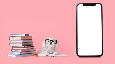 Kitapları olan sevimli bir köpek ve pembe arka planda büyük bir akıllı telefon.