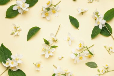 Renkli arkaplanda taze yasemin çiçekleri olan kompozisyon