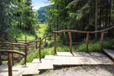 Yeşil ormandaki ahşap merdivenlerin manzarası