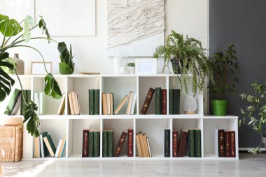 Kitaplı raflar ve modern oturma odasında bitkiler.