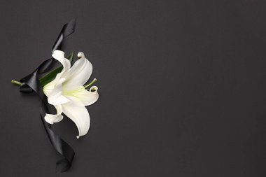 Koyu arkaplanda siyah cenaze kurdelesiyle güzel zambak çiçekleri