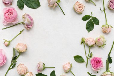 Güzel pembe güllerden yapılmış çerçeve ve beyaz arkaplanda yapraklar