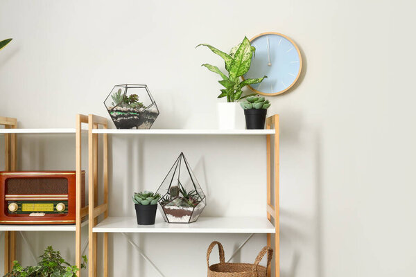 Florariums with houseplants on shelves near light wall