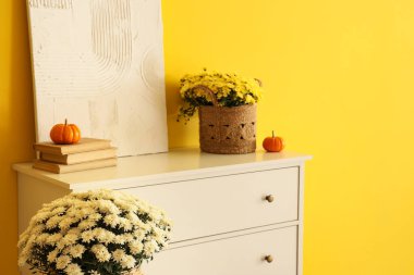 Kasımpatı çiçekli çekmeceler, resim, kitaplar ve balkabakları sarı duvarın yanında.