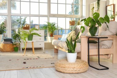 Yeşil bitkiler ve kanepeyle aydınlık oturma odasının içinde.