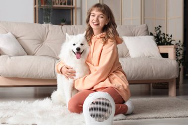 Evde elektrikli vantilatör ısıtıcısının yanında Samoyed köpekli genç bir kadın ısınıyor.