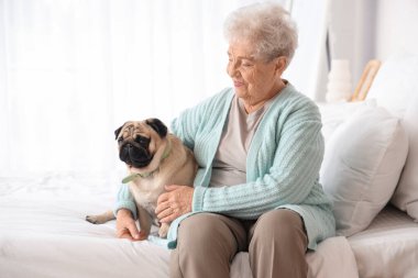 Yakışıklı köpeğiyle yatak odasında oturan son sınıf öğrencisi kadın.