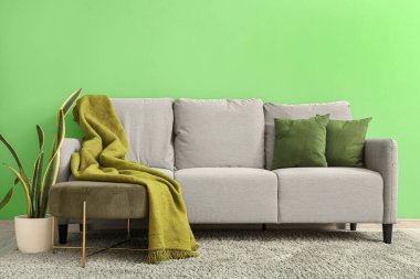 Yastıklı, battaniyeli ve yeşil duvarlı şık gri kanepe.