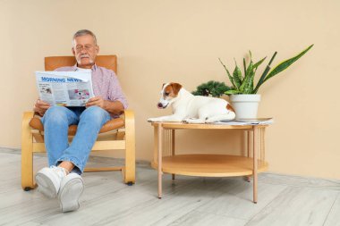 Hoş Jack Russell Teriyeri olan olgun bir adam. Evdeki koltukta gazete okuyor.