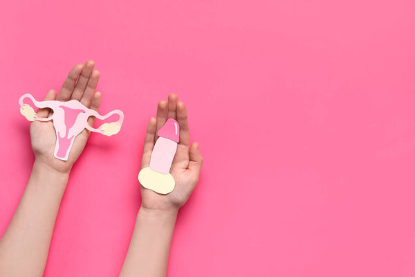 Female hands with paper uterus and male genitals on pink background, closeup