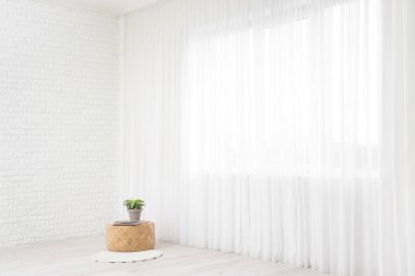 Sehpa ve bitki oturma odasındaki ışık perdesinin yanında.