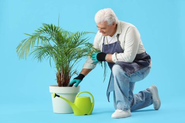 Mavi arka planda palmiye ağacı olan olgun bahçıvan