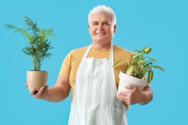 Mavi arka planda bitkileri olan olgun bir bahçıvan.