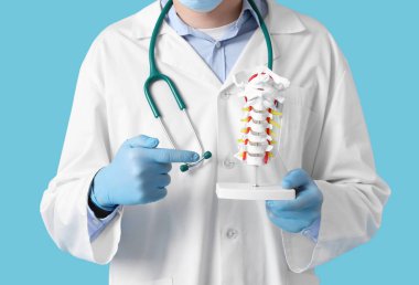 Mavi arka planda omurga modelini gösteren erkek doktor.