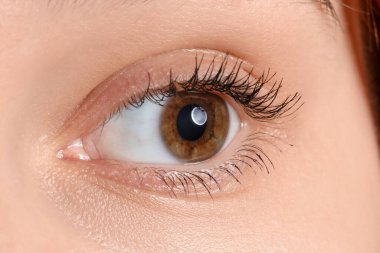 Güzel kirpikleri ve ela gözleri olan genç bir kadın. Yakın çekim.