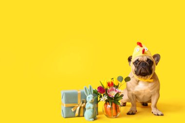 Güzel çiçekli piliç şapkalı şirin Fransız bulldog 'u hediye kutusu ve sarı arka planda oyuncak tavşan. Paskalya kutlaması