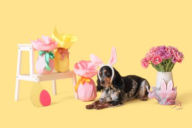 Paskalya hediyesi yumurtaları ve sarı arka planda güzel laleleri olan tavşan kulaklı şirin cocker spaniel.