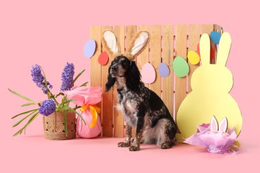 Paskalya pastası, hediye yumurtası, kağıt tavşan, güzel çiçekler ve pembe arka planda ahşap çitle tavşan kulaklı şirin cocker spaniel.