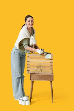 Sarı arka planda çalı çırpı kutusu boyayan genç bir kadın.