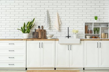 Interior of light kitchen with white counters, houseplant and utensils