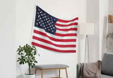 Ev bitkisi ve ABD bayrağının asılı olduğu ışık odasının içinde.
