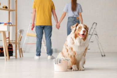 Yeni evlerinin tamiri sırasında çiftlerin önünde boyalı şirin bir köpek.
