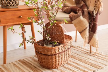 Koltuk, sehpa ve salonda çiçek açan dalları olan hasır sepet.