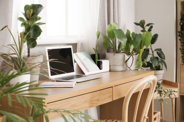 Ofisteki pencerenin yanında dizüstü bilgisayarı ve yeşil bitkileri olan işyeri
