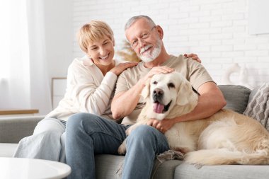 Evde koltukta oturan Labrador köpeği olan olgun bir çift.