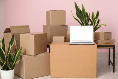 Boş dizüstü bilgisayar, taşınan kutular ve pembe duvarın yanındaki bitkiler.