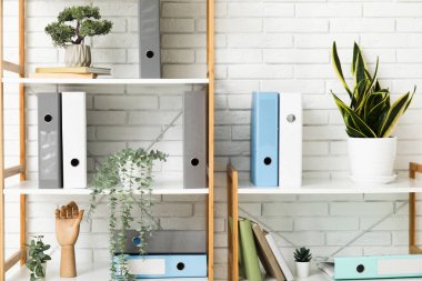 Beyaz tuğla duvarın yanında doküman dizinleri ve bitkilere sahip raflar