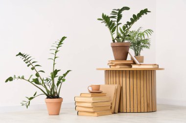 Yuvarlak masa, kitaplar, fincanlar ve oturma odasındaki beyaz duvarın yanındaki farklı bitkiler.