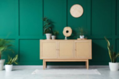 Oturma odasının bulanık görüntüsü, çekmeceler ve yeşil duvarın yanındaki farklı bitkiler.