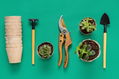 Yeşil arka planda tırmık, kürek ve turba kapları olan bahçe aletleri. Üst görünüm