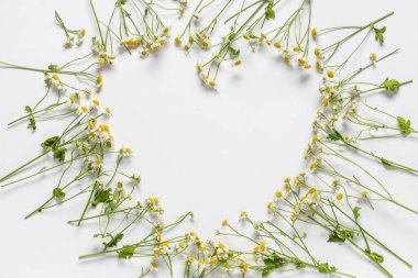 Güzel papatya çiçeklerinden yapılmış kalp açık arkaplanda