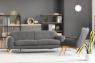 Siyah kanepesi ve koltuğu olan bulanık oturma odası manzarası