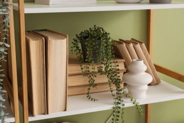 Odadaki yeşil duvarın yanındaki rafta kitaplar, vazolar ve bitkiler var.