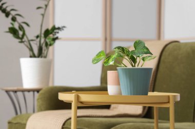 Oturma odasındaki masaya yerleştirin, yakın plan.