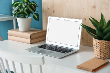 Modern dizüstü bilgisayarlı şık bir masa ve mavi duvarlı bir ev bitkisi.