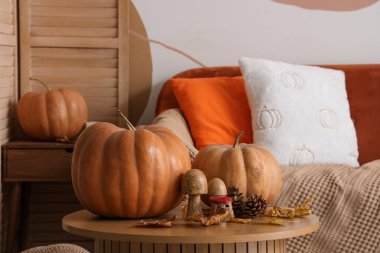 Köknar kozalaklı balkabakları, mantarlar ve sonbahar yaprakları oturma odasındaki masada.