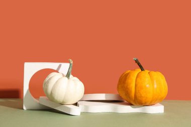 Renkli arka planda taze balkabaklarıyla dekoratif podyumlar