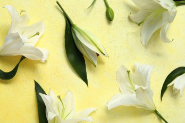 Sarı arka planda beyaz zambak çiçekleri. Üst görünüm