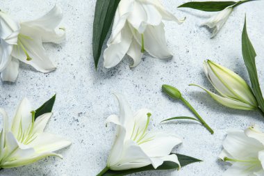 Beyaz arkaplanda beyaz zambak çiçekleri. Üst görünüm