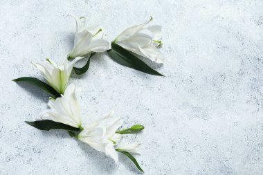 Beyaz arkaplanda beyaz zambak çiçekleri. Üst görünüm