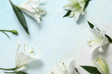 Mavi arka planda beyaz zambak çiçeklerinden yapılmış çerçeve. Üst görünüm