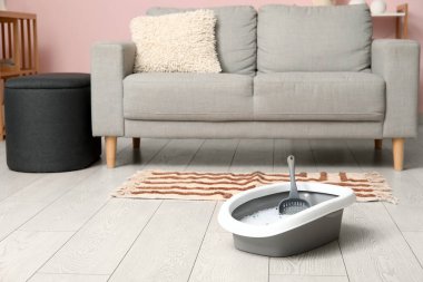 Odadaki kedi için gri çöp kutusu.