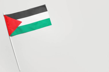 Gri arkaplanda Filistin bayrağı