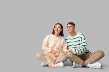 Gri arka planda oturan sevimli Maine Rakun kedili güzel genç çift.